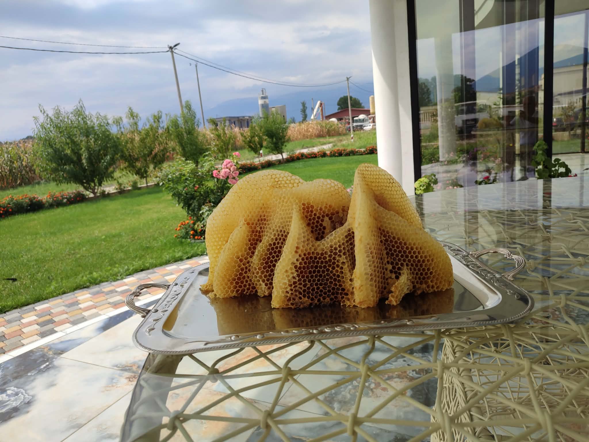 Mjaltë bio pa aditivë, prodhim familjar Zhelinë Tetovë